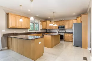 11004 Haley Ct, Orland Park, IL 60467 - Photo 31