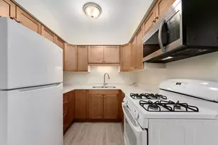 1303 N Baldwin Ct, Palatine, IL 60074 - Photo 3