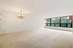 110 E Delaware Pl, Chicago, IL 60611 - Photo 3