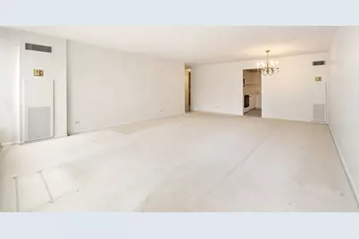 110 E Delaware Place #704, Chicago, IL 60611 - Photo 5