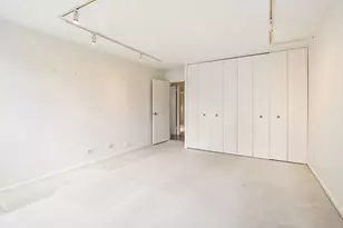 110 E Delaware Pl, Chicago, IL 60611 - Photo 13