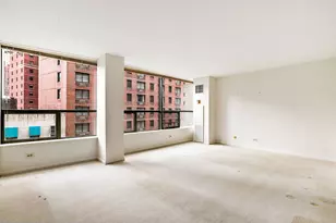 110 E Delaware Pl, Chicago, IL 60611 - Photo 9