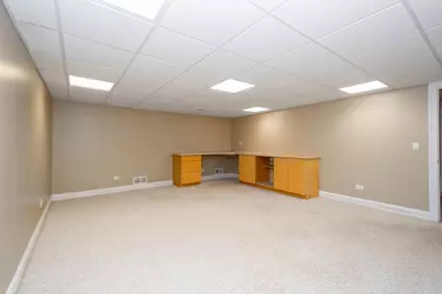 10303 Fox Bluff Lane, Spring Grove, IL 60081 - Photo 33