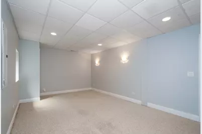 10303 Fox Bluff Lane, Spring Grove, IL 60081 - Photo 29