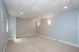 10303 Fox Bluff Ln, Spring Grove, IL 60081 - Photo 29