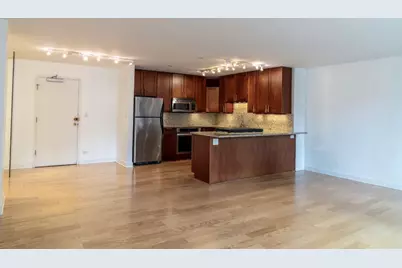 850 N Dewitt Place #10G, Chicago, IL 60611 - Photo 5