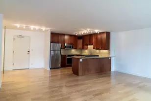 850 N Dewitt Pl, Chicago, IL 60611 - Photo 5
