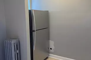 1167 E 54th St, Chicago, IL 60615 - Photo 11