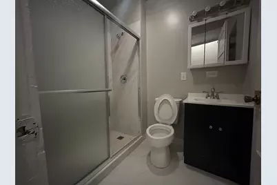 1007 S Oakley Boulevard, Chicago, IL 60612 - Photo 3