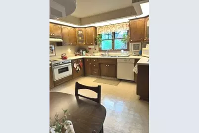 520 Warren Avenue, Park Ridge, IL 60068 - Photo 9