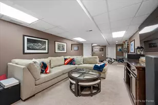 24821 Vermette Rd, Plainfield, IL 60585 - Photo 29