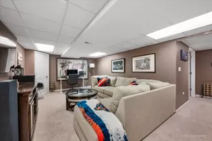 24821 Vermette Rd, Plainfield, IL 60585 - Photo 27