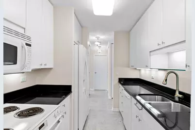 111 E Chestnut Street #31J, Chicago, IL 60611 - Photo 13
