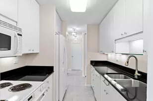 111 E Chestnut St, Chicago, IL 60611 - Photo 13