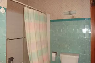 429 W Koplin Ave, Cissna Park, IL 60924 - Photo 31
