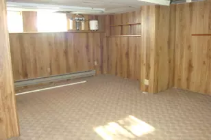 429 W Koplin Ave, Cissna Park, IL 60924 - Photo 47