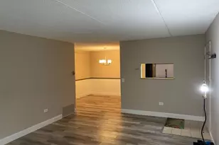 5S066 Pebblewood Ln, Naperville, IL 60563 - Photo 7