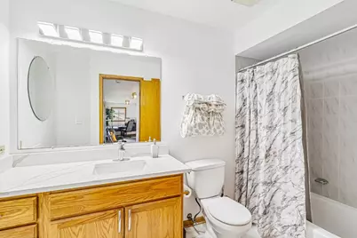 19500 Oakwood Avenue, Lynwood, IL 60411 - Photo 27