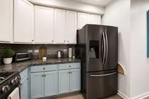 924 W Wolfram St, Chicago, IL 60657 - Photo 5
