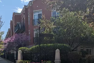 1406 S Halsted St, Chicago, IL 60607 - Photo 1