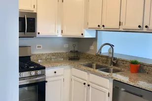 503 Orleans Ave, Naperville, IL 60565 - Photo 9