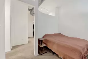 1000 E 53rd St, Chicago, IL 60615 - Photo 19
