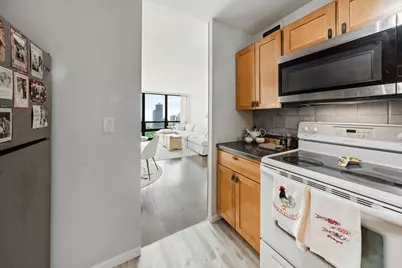 1636 N Wells Street #3107, Chicago, IL 60614 - Photo 13