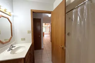 901 Lark St, Peotone, IL 60468 - Photo 29