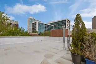 839 W Bradley Pl, Chicago, IL 60613 - Photo 21