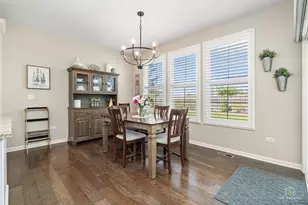 117 Costekin Ct, Hawthorn Woods, IL 60060 - Photo 17