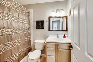 617 South Blvd, Oak Park, IL 60302 - Photo 13