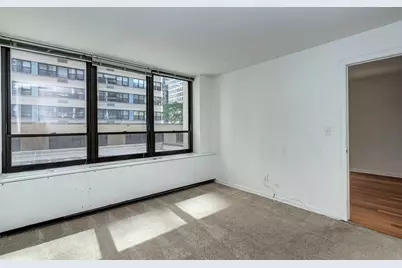 222 E Pearson Street #203, Chicago, IL 60611 - Photo 23