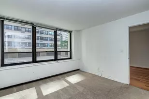 222 E Pearson St, Chicago, IL 60611 - Photo 23