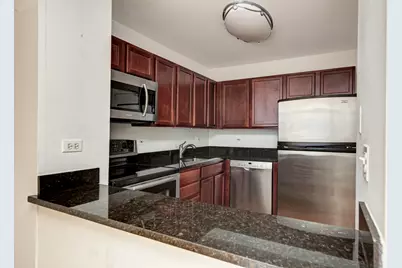 222 E Pearson Street #203, Chicago, IL 60611 - Photo 9