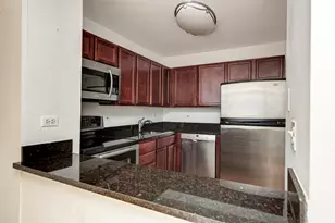 222 E Pearson St, Chicago, IL 60611 - Photo 9