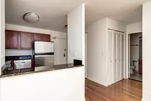 222 E Pearson St, Chicago, IL 60611 - Photo 11