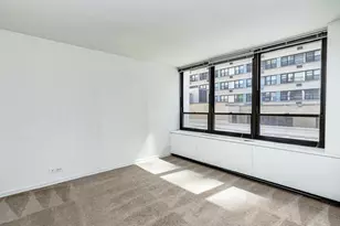 222 E Pearson St, Chicago, IL 60611 - Photo 21