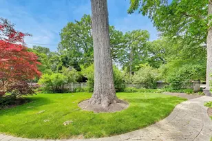 2624 Thayer St, Evanston, IL 60201 - Photo 37
