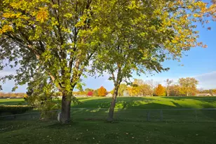 942 W Clearwater St, Roselle, IL 60172 - Photo 39