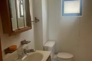 1542 W Thomas St, Chicago, IL 60642 - Photo 11