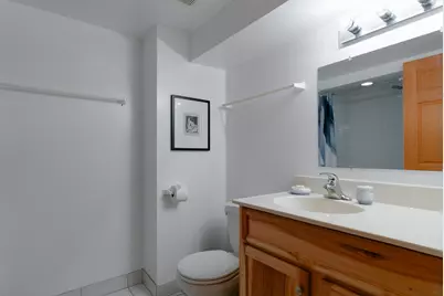 1147 S Grove Avenue, Oak Park, IL 60304 - Photo 27