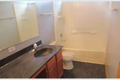 11850 Blue Bayou Drive, Huntley, IL 60142 - Photo 13