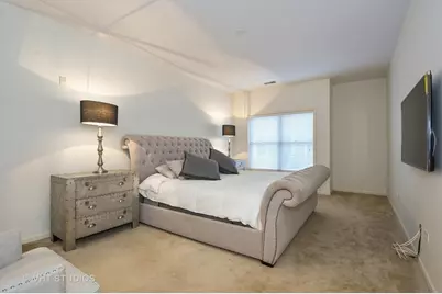 100 E Station Street #316, Barrington, IL 60010 - Photo 9