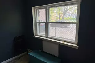 950 E 86th St, Chicago, IL 60619 - Photo 9