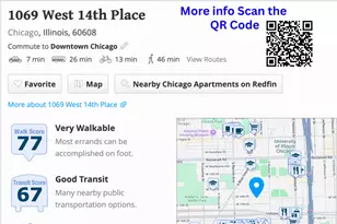 1069 W 14th Pl, Chicago, IL 60608 - Photo 25