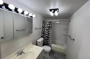 1030 Dunlop, Forest Park, IL 60130 - Photo 9