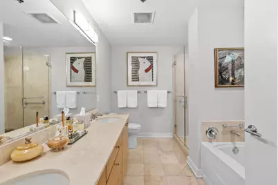 250 E Pearson Street #1007, Chicago, IL 60611 - Photo 9