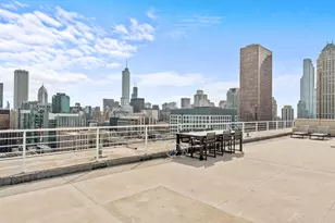 250 E Pearson St, Chicago, IL 60611 - Photo 21