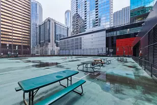 211 E Ohio St, Chicago, IL 60611 - Photo 19
