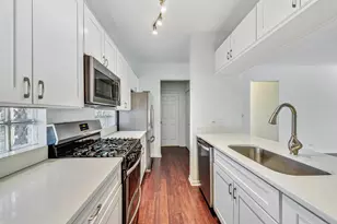 301 W Goethe St, Chicago, IL 60610 - Photo 13